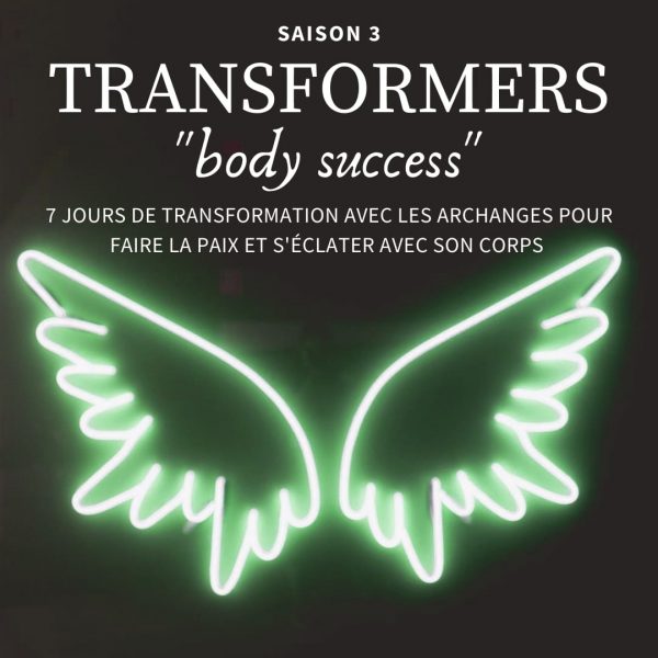 Emilie Soins énergétiques Transformers Anges Body